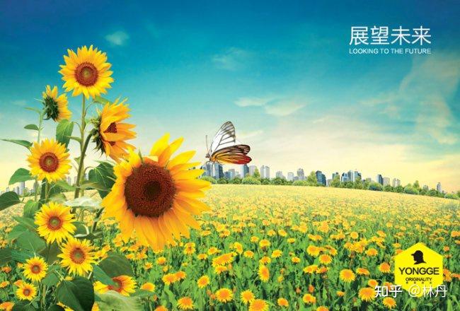 幽奈最后有没有成佛_幽奈小姐_幽奈生前的留恋是啥
