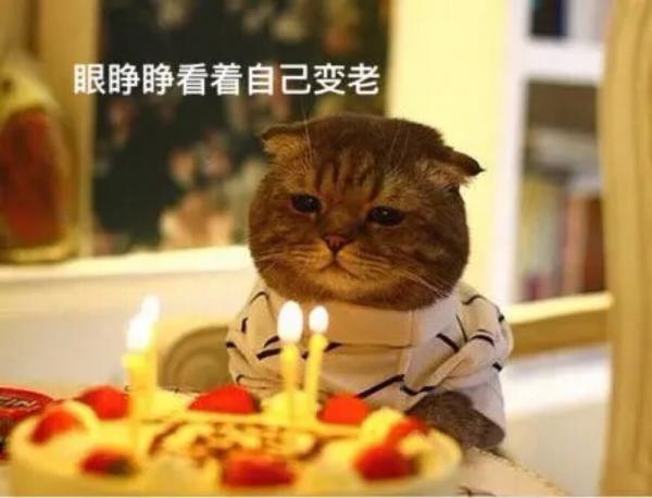 6月26号是什么日子_月日是哪天_日子是几月几号