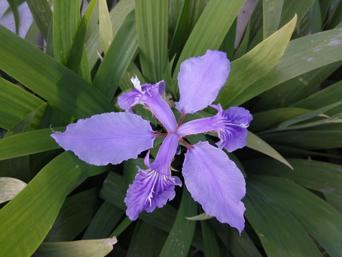 接口压测一般测多少次_jmeter接口压测流程详解_接口测试压力测试性能测试