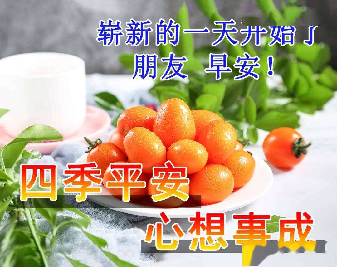 手游帮下载安装_手游帮app下载_帮帮游戏手机版