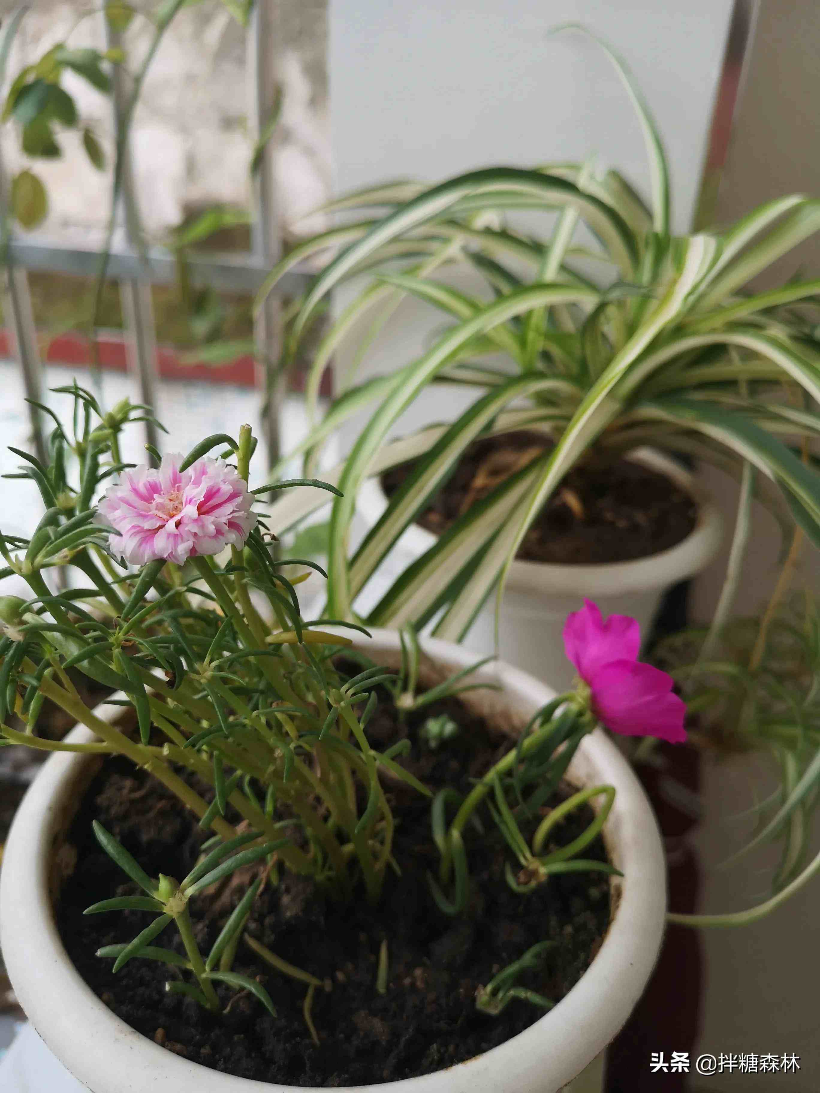 点完痣经常面对手机_点痣能不能玩手机_点痣后多久能玩手机游戏