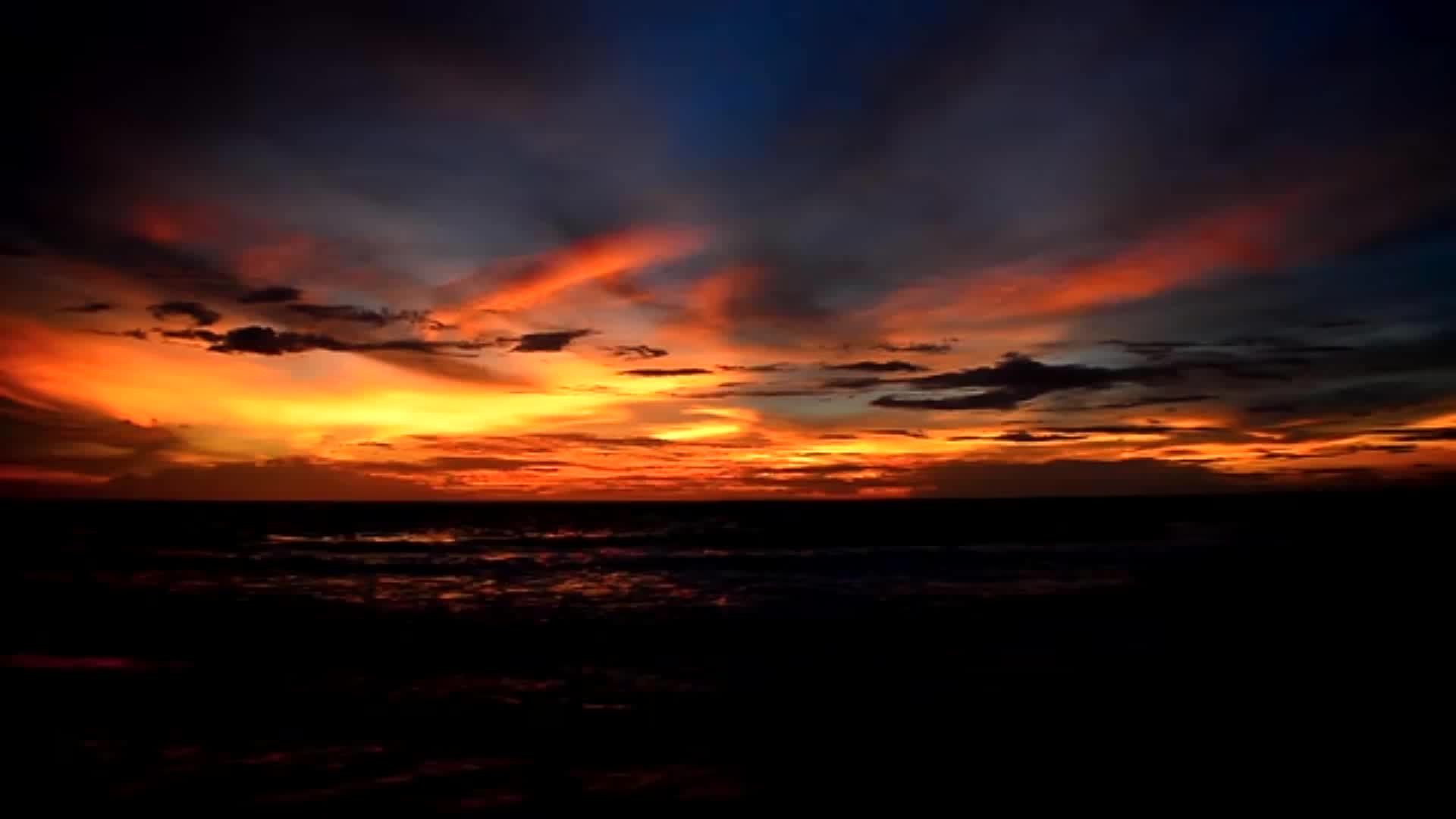 明日的夜空哨戒班_明日夜空哨戒班出自哪_明日夜空的哨戒班中文填词