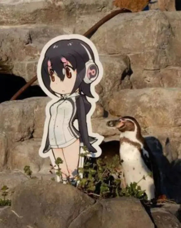 伊丽莎白鼠_鼠伊丽莎白圈_伊丽莎白鼠真名