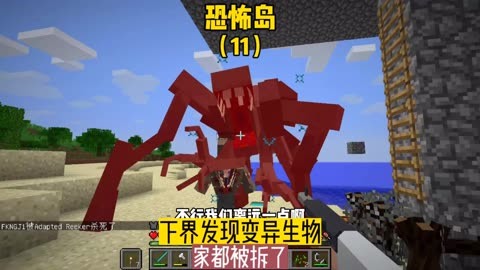 夏威夷果的开果器在哪里_雷电多开器_开核桃器的构造
