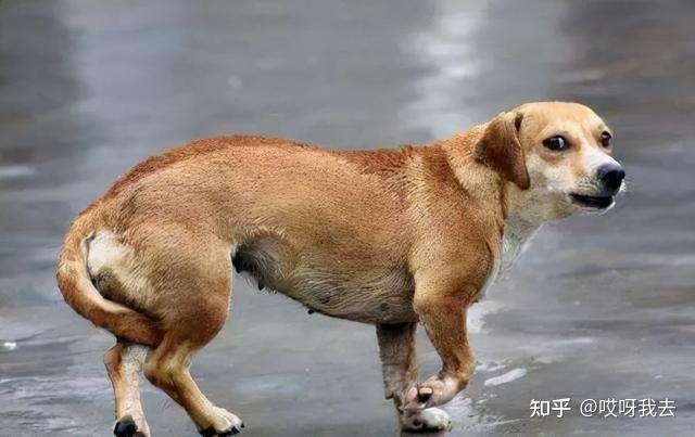 鬼心里有石头_心里有鬼的人_心里有鬼