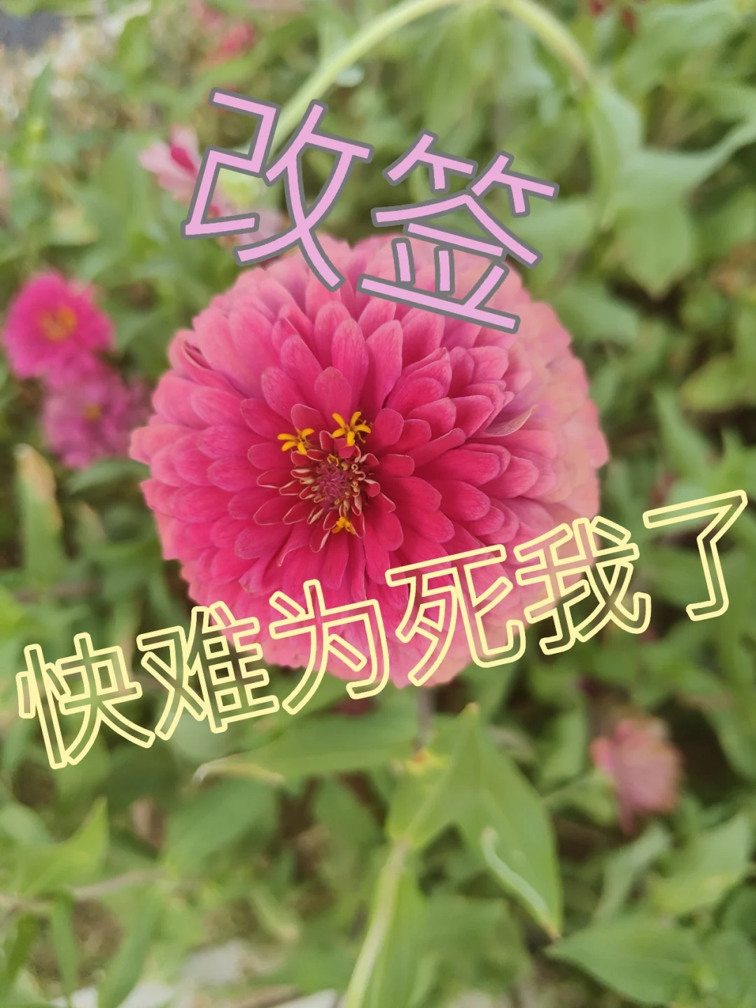 vx等待验证_微信等待验证是什么意思_验证意思等待微信是怎么回事