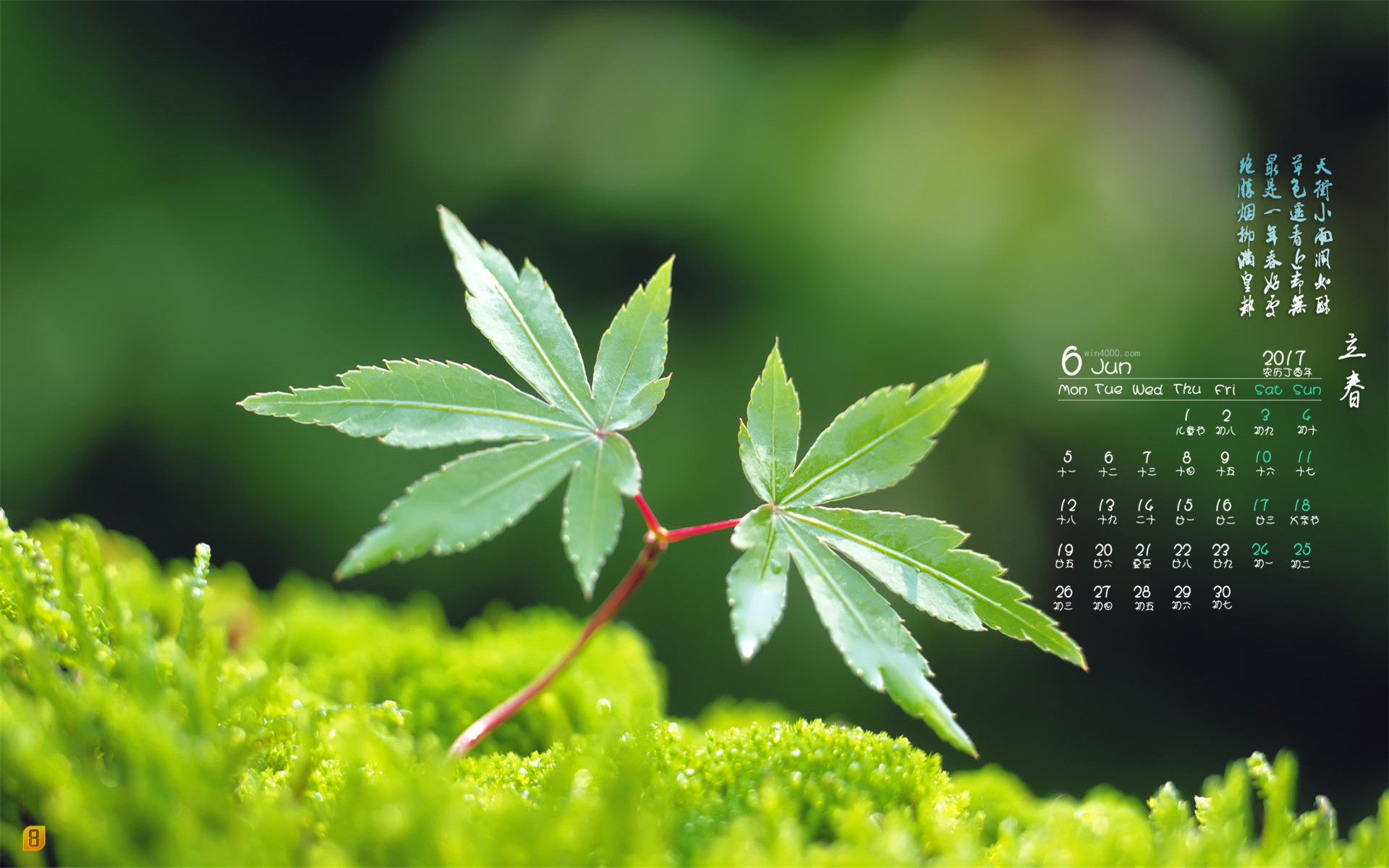关键热词排名_热门关键词_热门关键词有哪些