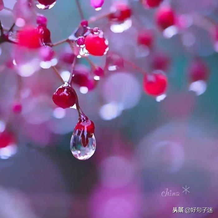 博爱玩家啥意思_博爱游戏公益平台_博爱手机游戏