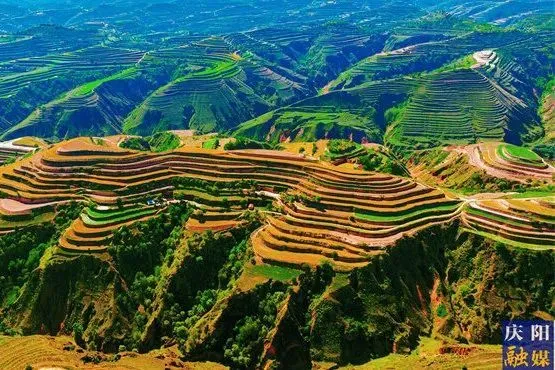 月色真美下一句_月色真美日语_月色真美