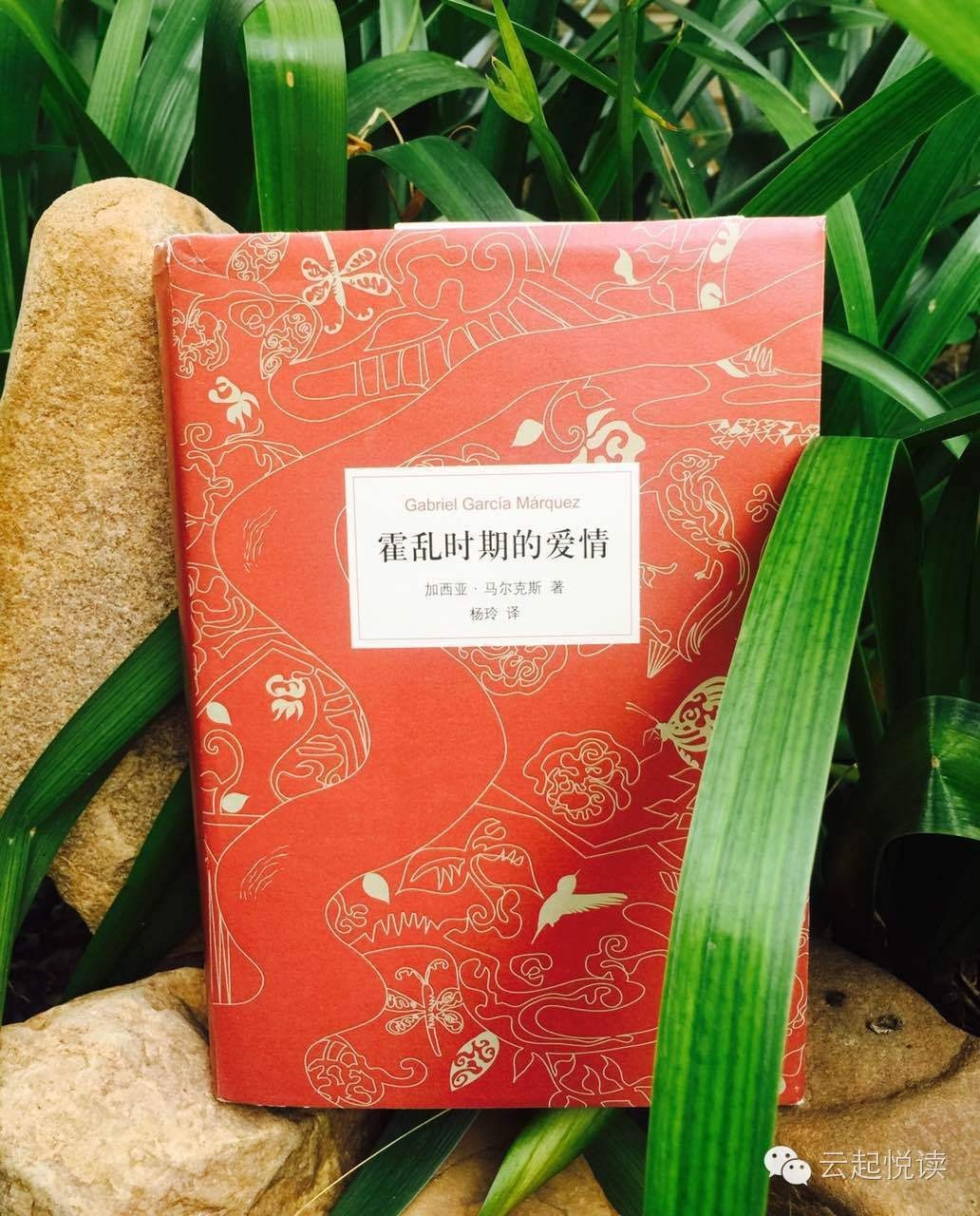 霍乱时期的爱情电影西瓜_霍乱时期的爱情电影免费观看完整版_电影霍乱时期的爱情剧照