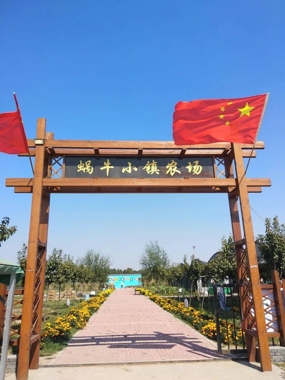 栗子球_栗子球图片_栗子球五兄弟