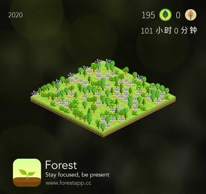 手机游戏平台_forest手机游戏_手机游戏推荐