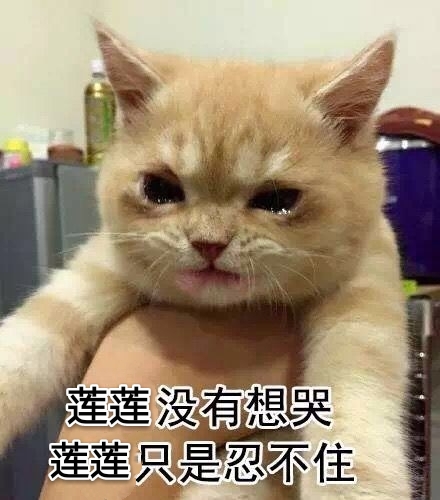 死于话多_死于话多的历史人物_死于话多完整句子