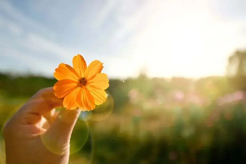 赛小息_赛小息_赛小息