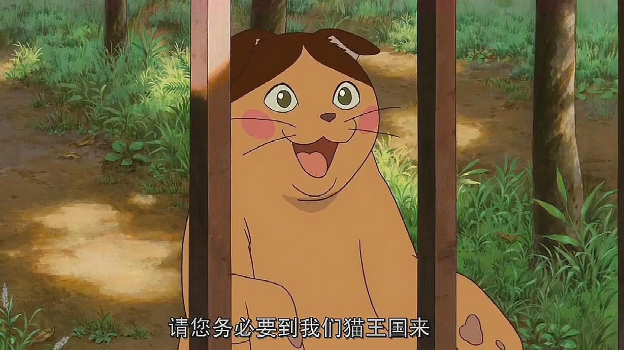 猫的报恩动画片_猫报恩动画片全集_猫报恩动画片在线观看
