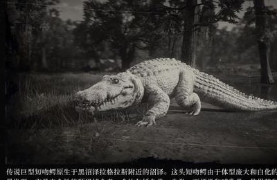 鳄鱼头玩手机游戏_鳄鱼打游戏_鳄鱼头玩具