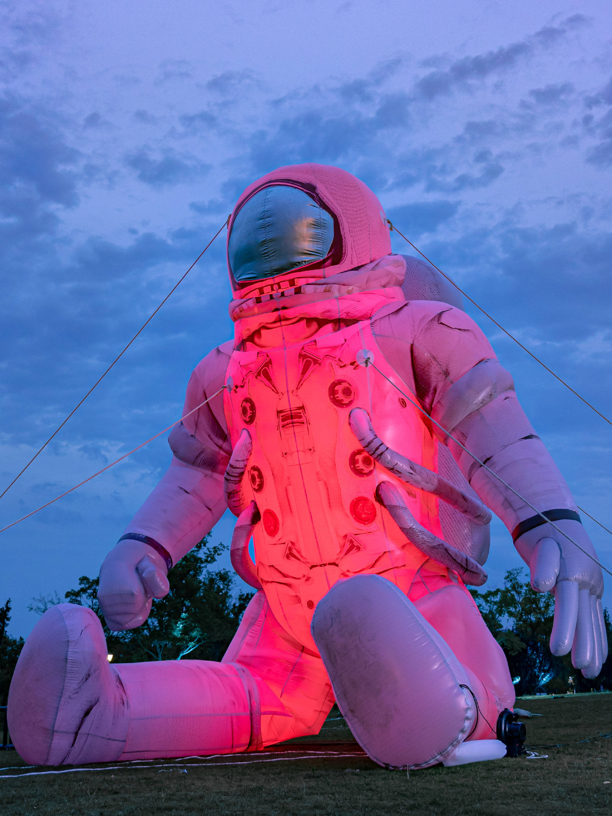 生态系统基质_生态系统的基石_基石生物