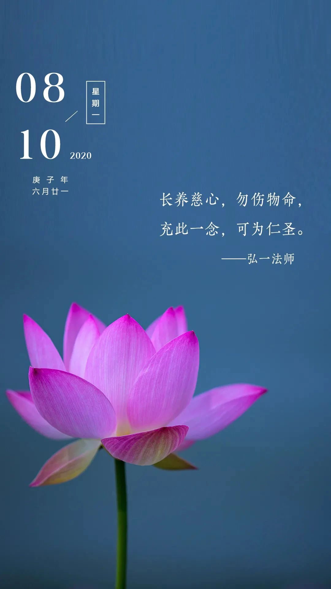 越水七槻_越水七槻_越水七槻