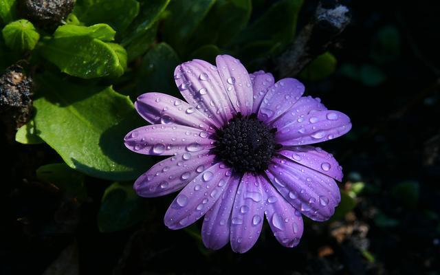 越水七槻_越水七槻_越水七槻