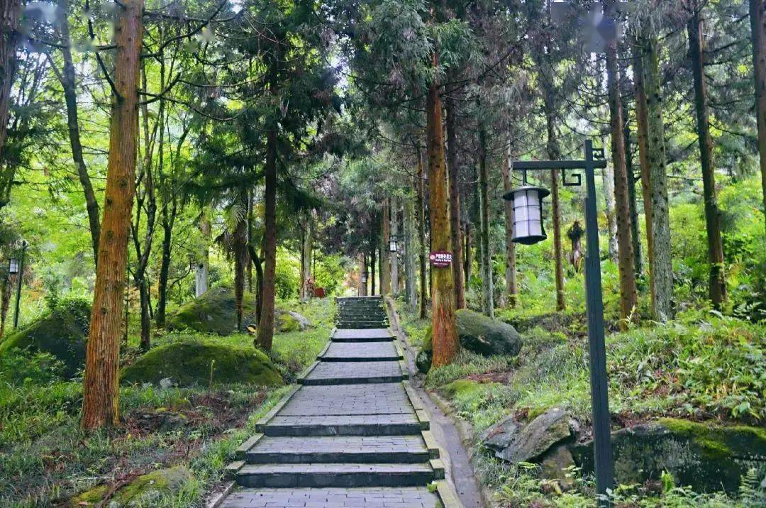 小音_音小二_音小六