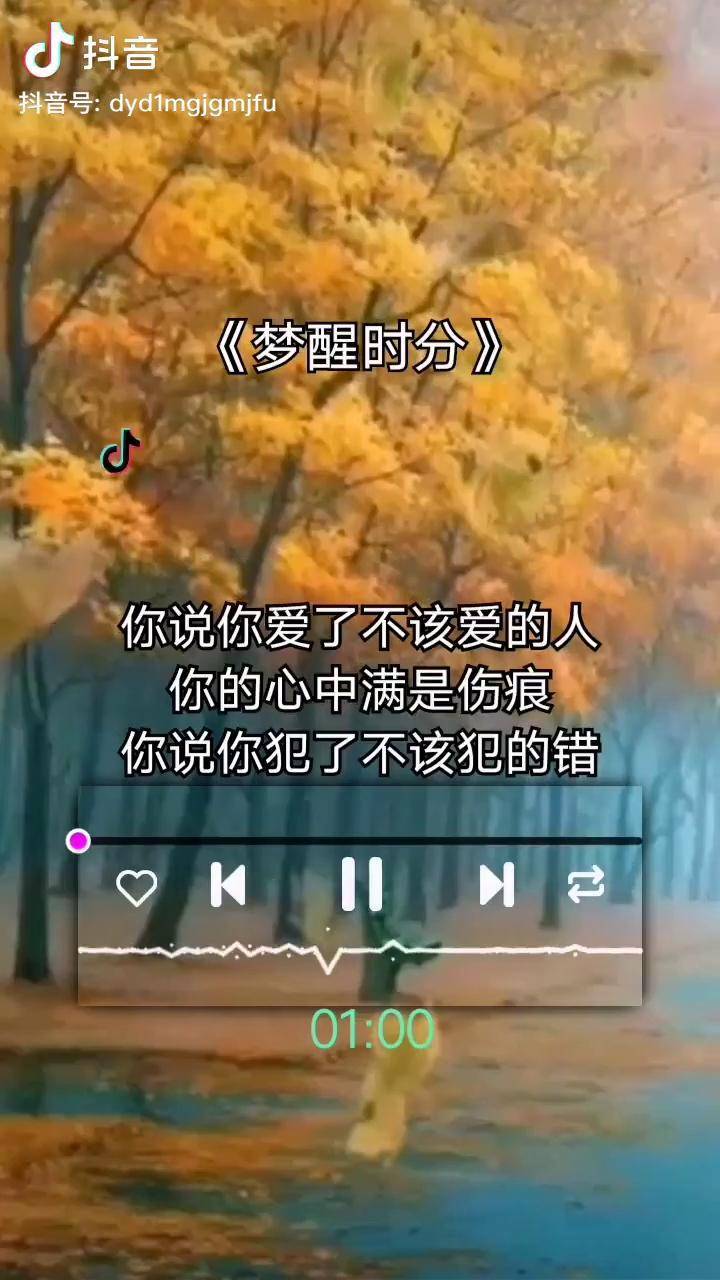 带厮守的歌词_厮守歌曲_我该如何去厮守是什么歌