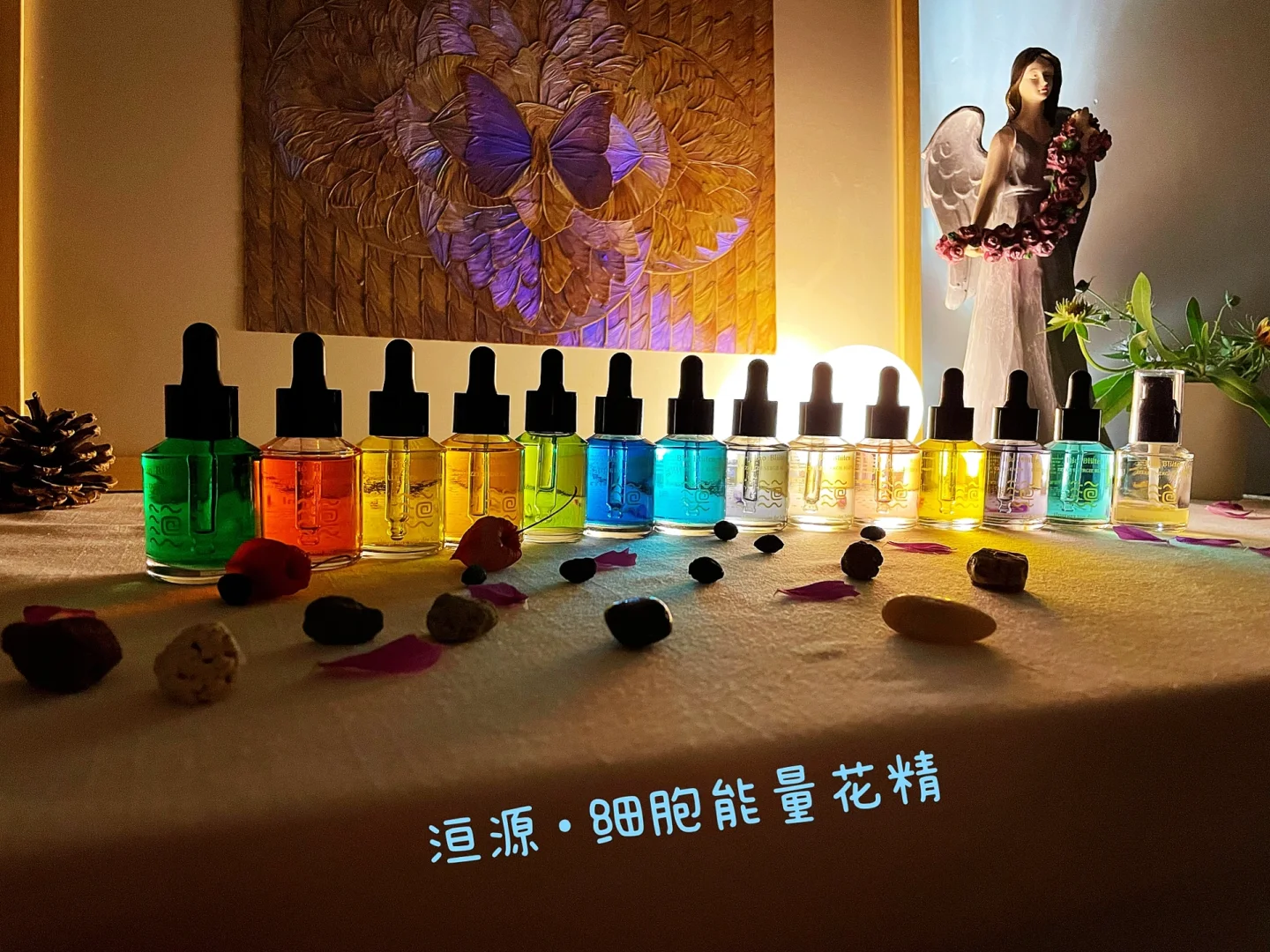 七濑花凛_花凛cp_夏海花凛