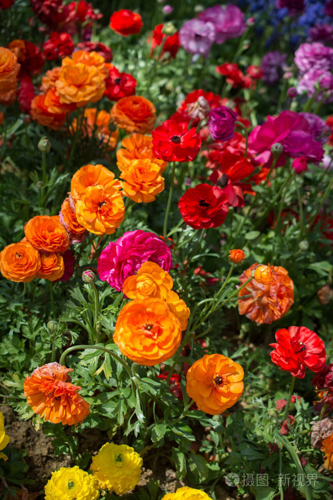 双人手机小游戏推荐_双人手机小游戏大全_BL小游戏双人游戏手机