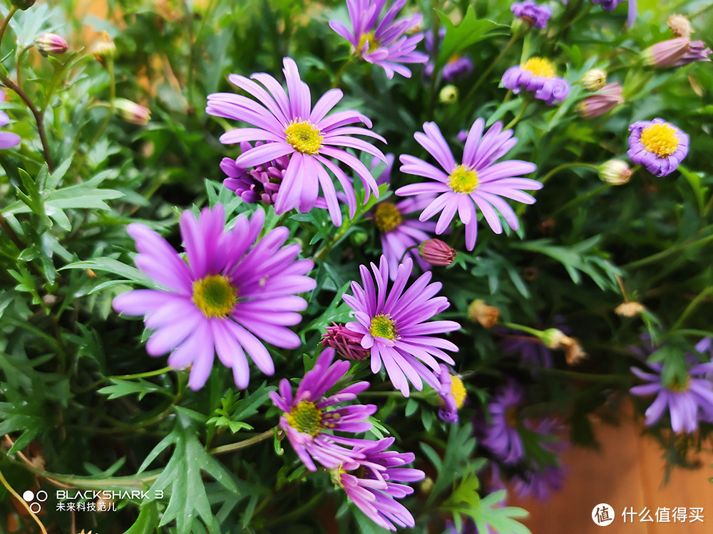 手游硬核生存游戏_非常硬核的手机类生存游戏_生存类硬核手机游戏