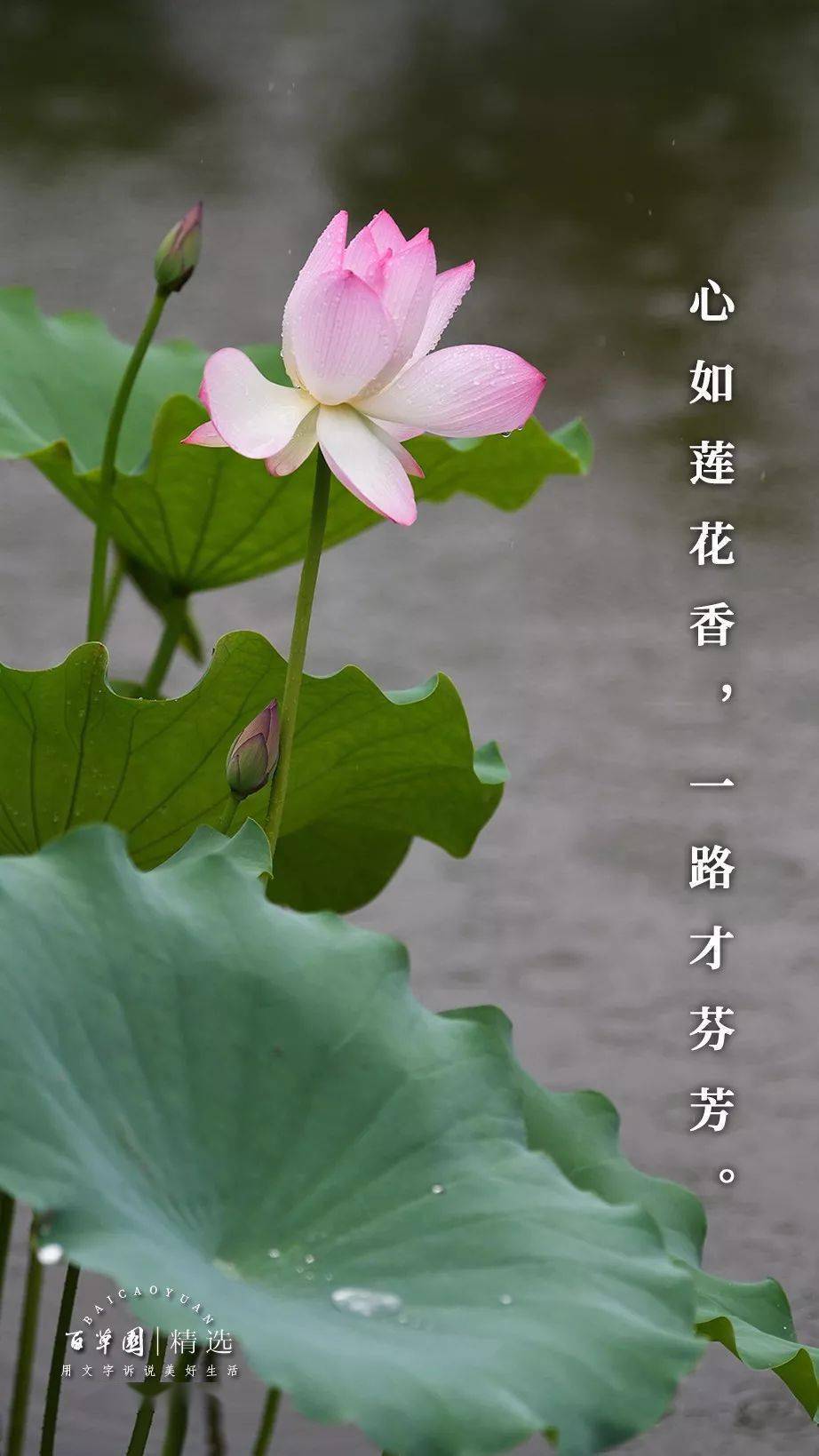韵达快递客服人工在线_安能物流客服人工在线_qq在线人工客服