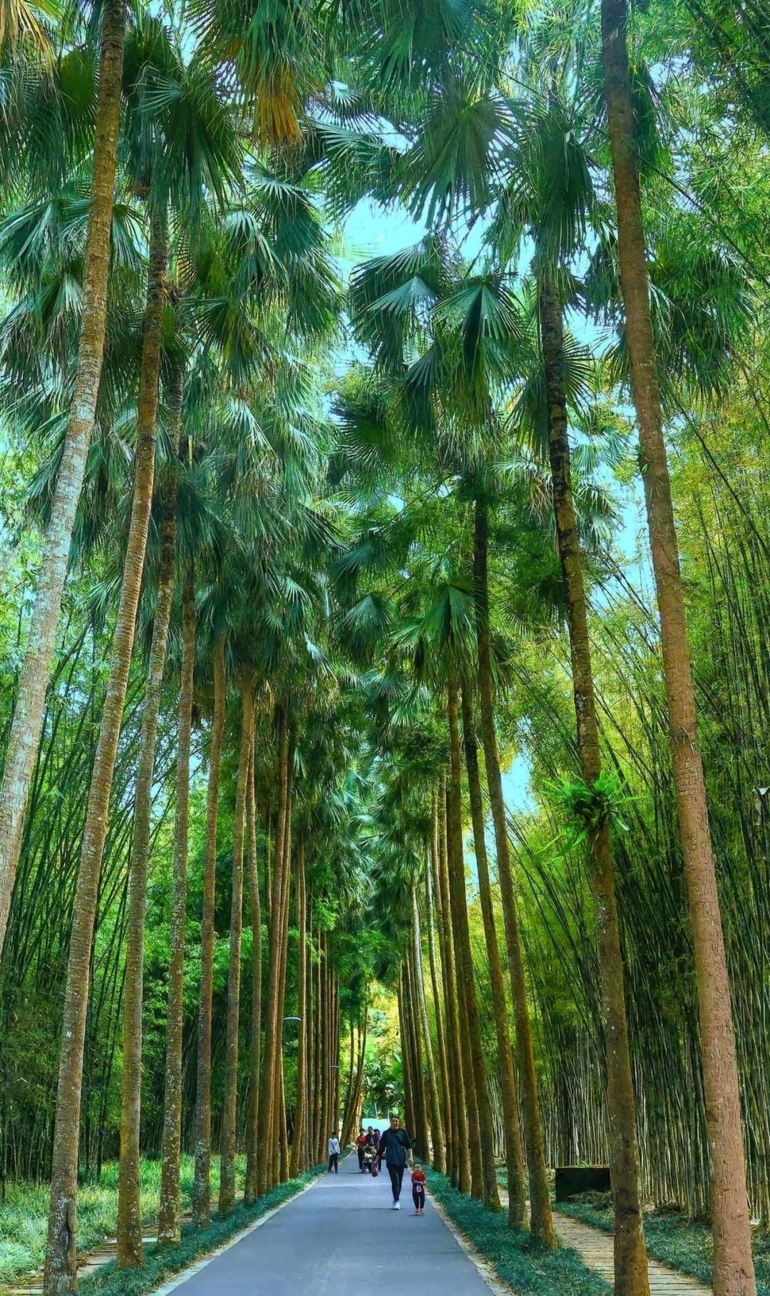 岸边电锯人年轻头像_岸边电锯人_岸边电锯人原型