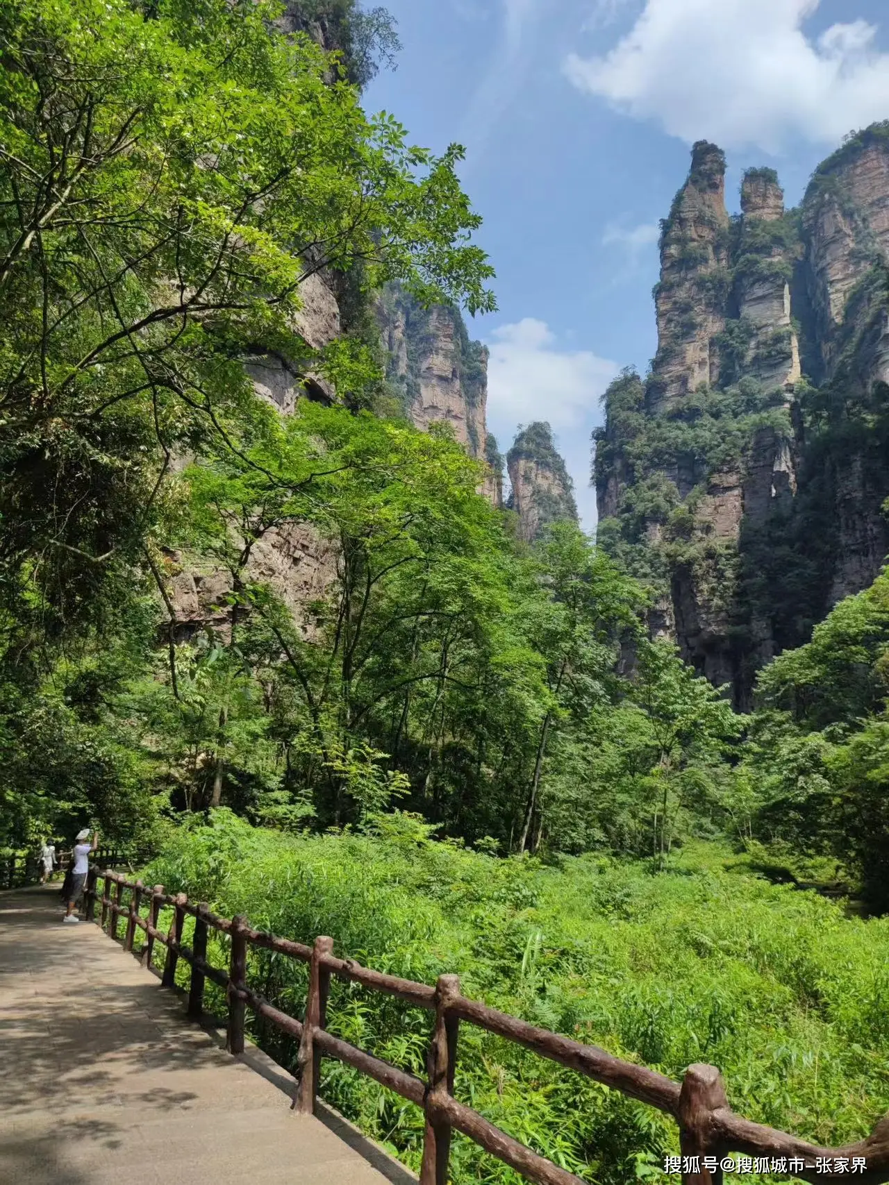 岸边电锯人年轻头像_岸边电锯人_岸边电锯人原型