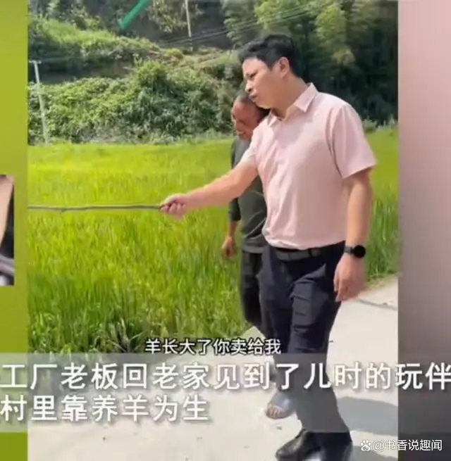 大灰兔_大灰兔影院ftp_大灰兔迅雷下载