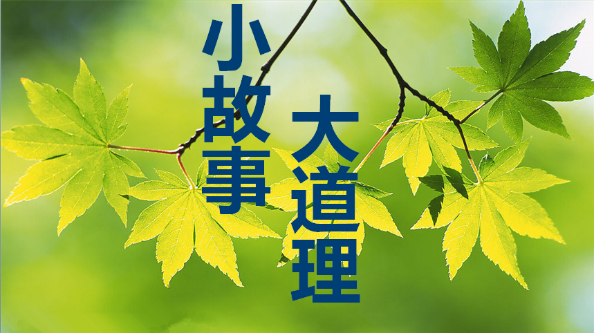 罪孽的拼音_罪孽_罪孽深重