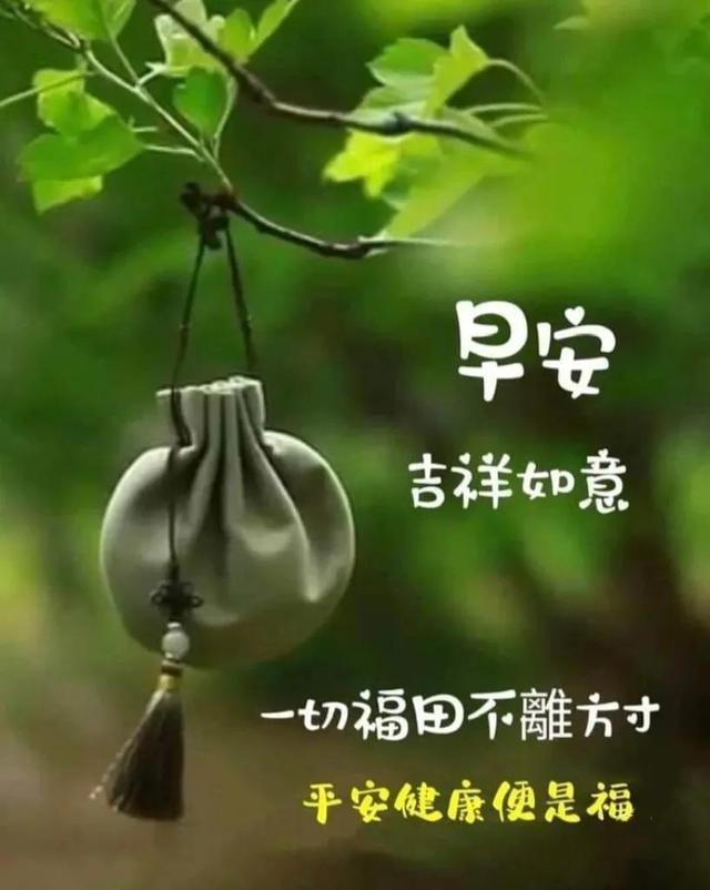 芒果tv东方破晓_破晓电视剧免费观看cctv_破晓东方电视剧免费观看