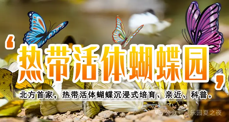 变态过关手机游戏_很变态的手机游戏_变态过关手机游戏有哪些