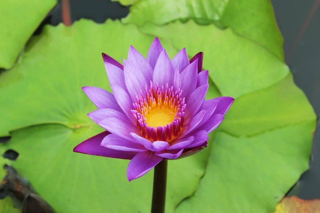 2000～2005年手机游戏_02年游戏大全_2002年千元游戏手机