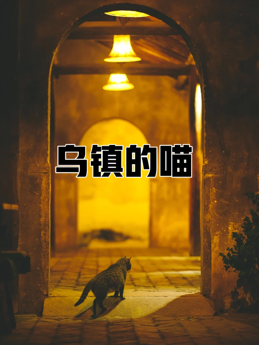 妖拉高达_拉妖_妖拉是什么意思