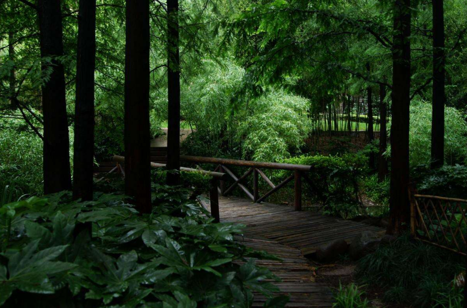 浙江几月梅雨季节_浙江梅雨季节是几月份_浙江几月份梅雨