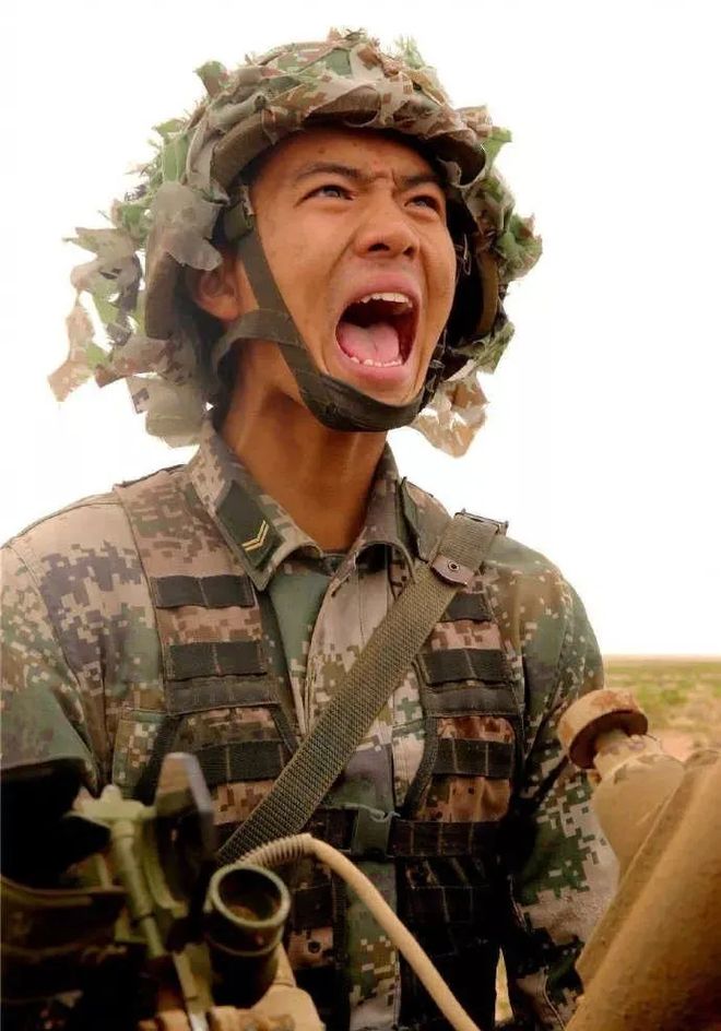 南龙胆与北龙胆区别_龙胆虎威5_龙胆尊