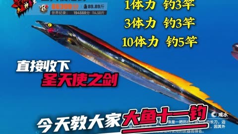 钓大鱼手机游戏推荐_钓大鱼手机游戏软件_钓大鱼手机游戏