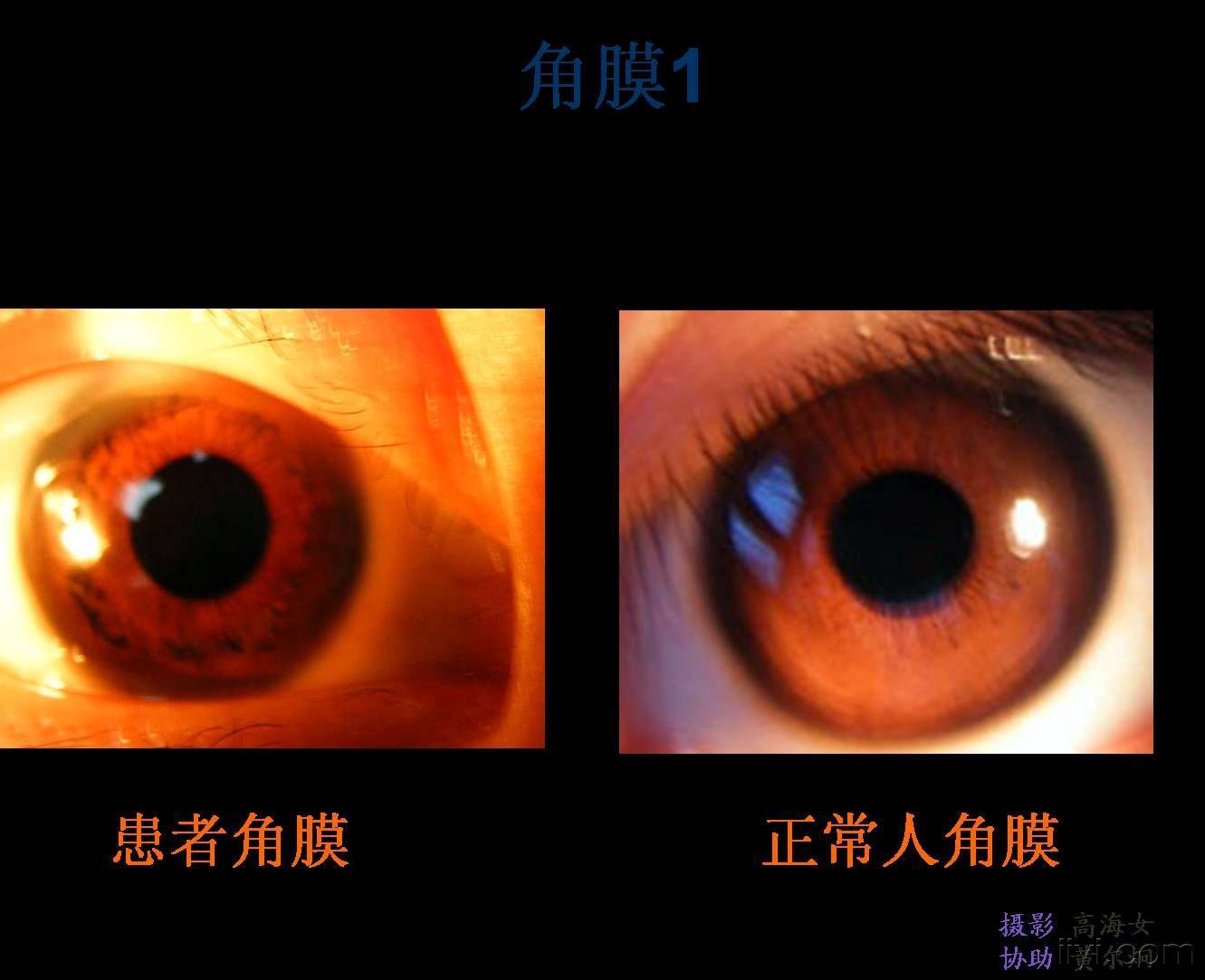 http请求方法_http请求方法_http请求方法