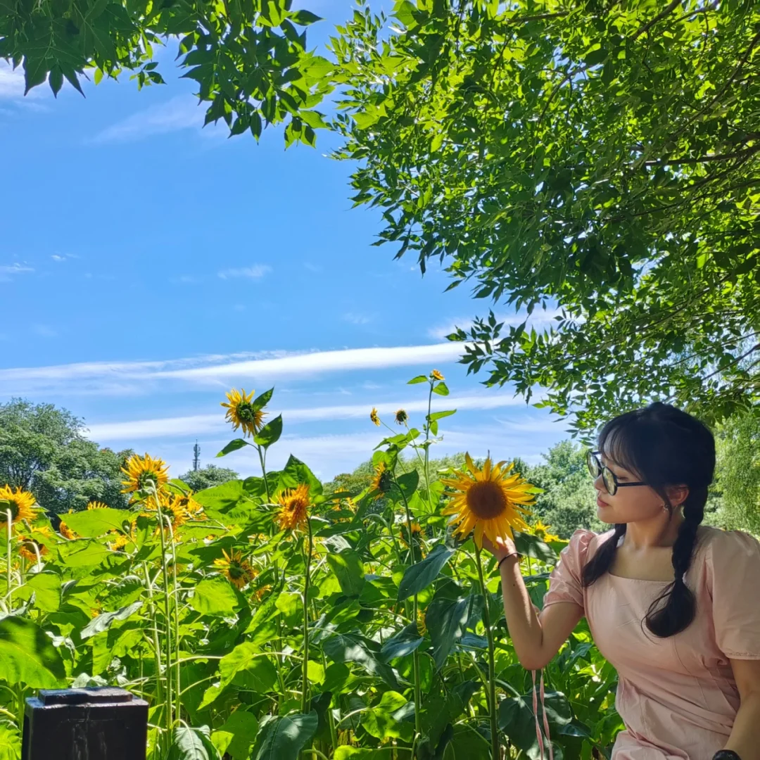 川美美术馆电话_市川美织_市川美织