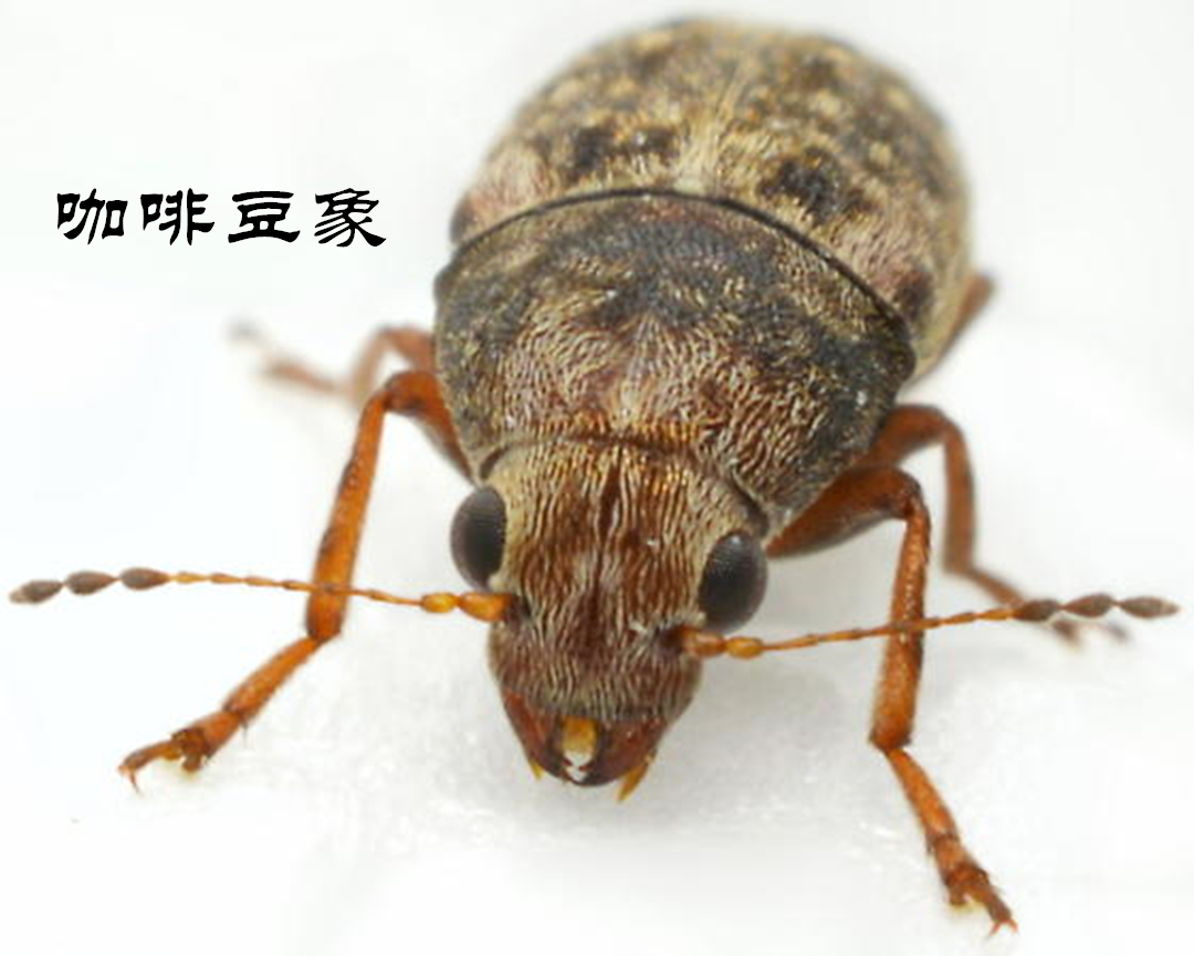 长按识别二维码_二维码识别长按没反应_长按识别二维码不能识别
