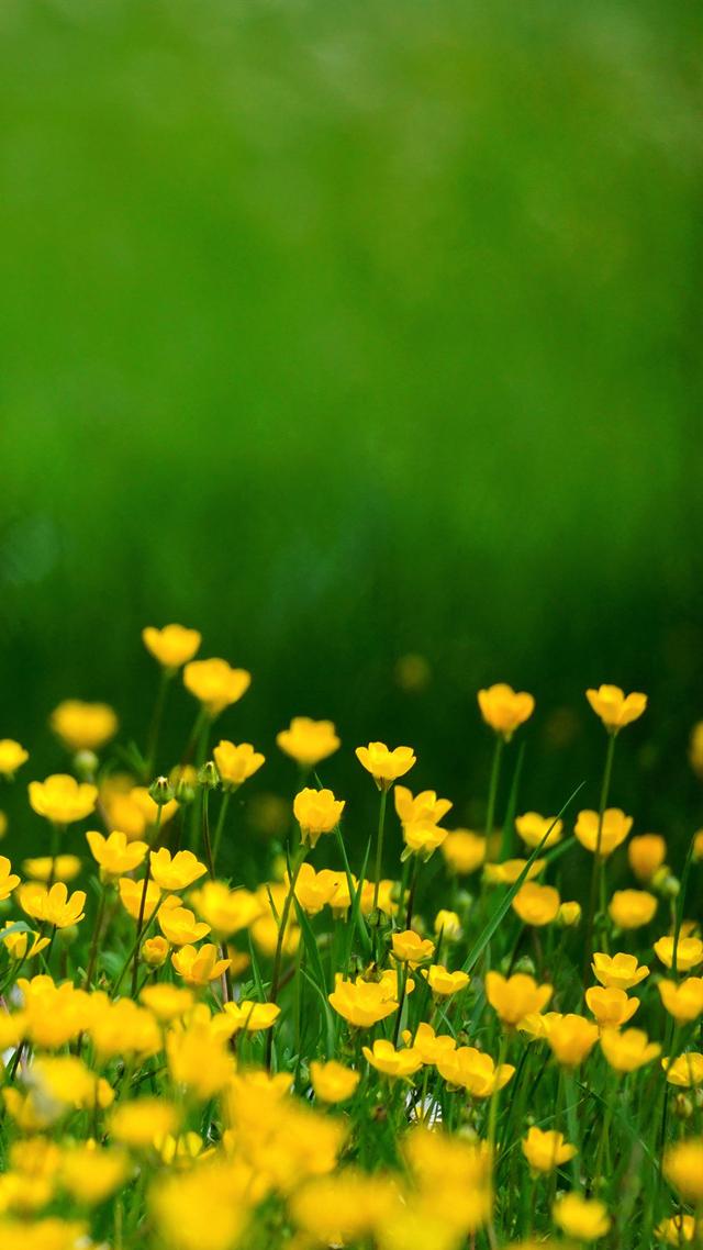 555游戏手机壁纸_壁纸游戏版_手机壁纸小游戏