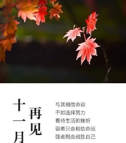 日子是啥_12月11日是什么日子_日和月是