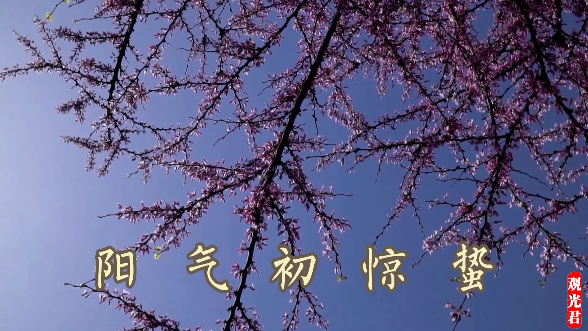 节气惊蛰的读音_节气惊蛰简介_惊蛰节气