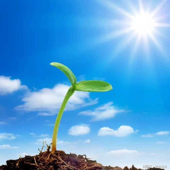 光在地球之时_地球时区划分图_当顺德欢度元旦时地球公转位置