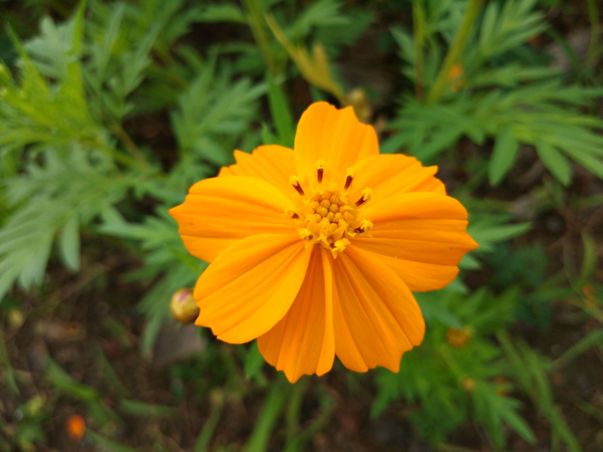 vivo手机游戏空间隐藏游戏_vivo手机把游戏隐藏_vivo游戏隐藏后怎么打开