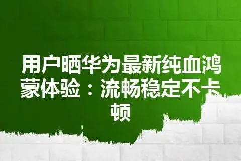 华为打游戏行不行_打游戏顺畅的手机华为有吗_顺畅华为打手机游戏有延迟吗