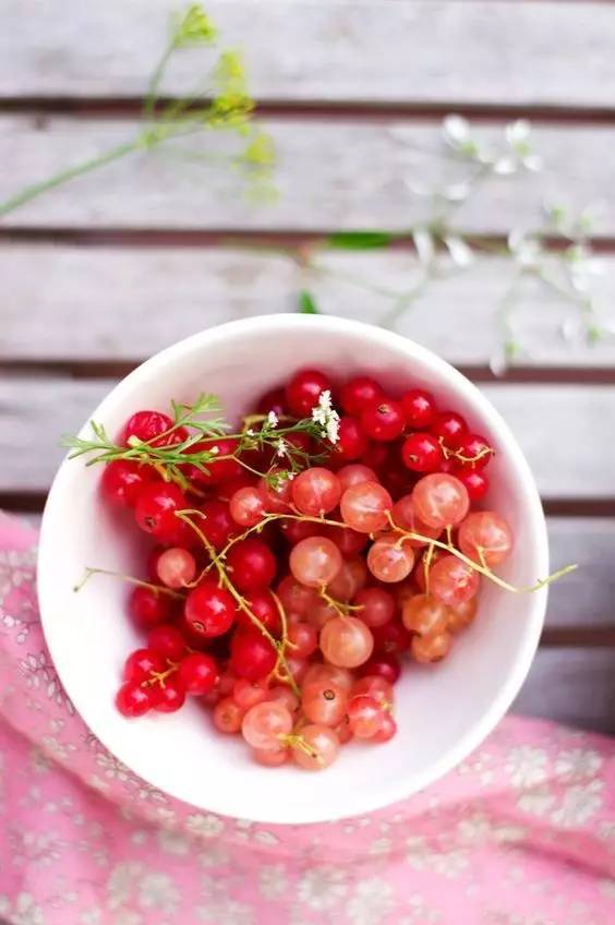 黄昏少女_kankan黄昏少女x失忆_黄昏少女x失忆ed